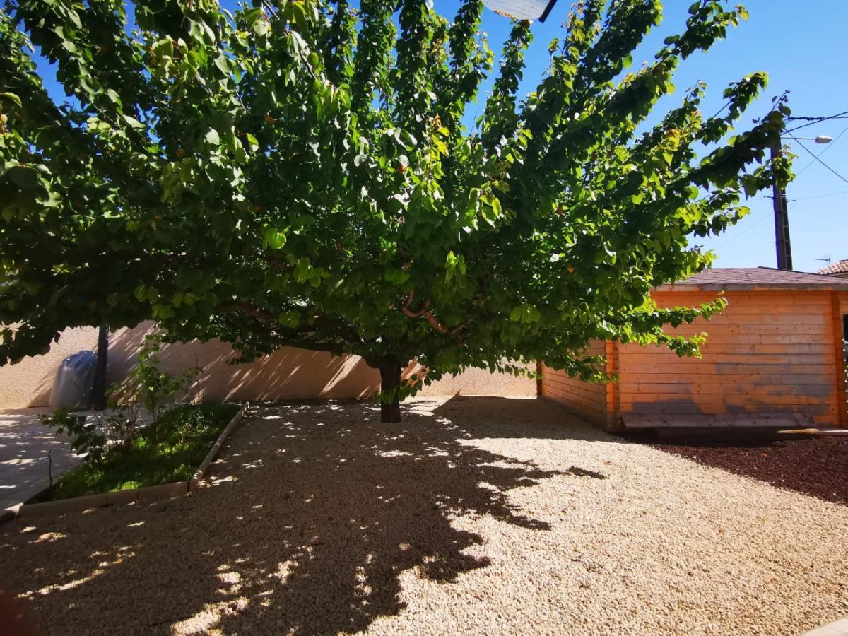 Bernis Gites Avec Grande Piscine Et Sa Terrasse Privative מראה חיצוני תמונה